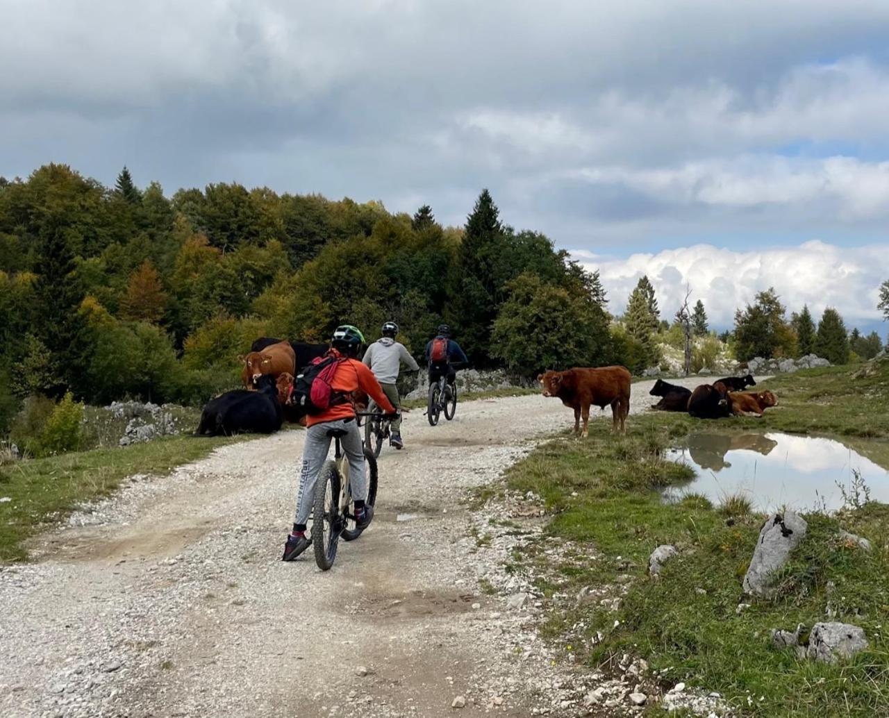 Apartmán Azimut Hisa Tolmin Exteriér fotografie