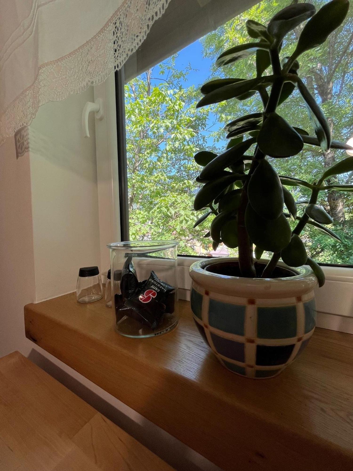 Apartmán Azimut Hisa Tolmin Exteriér fotografie